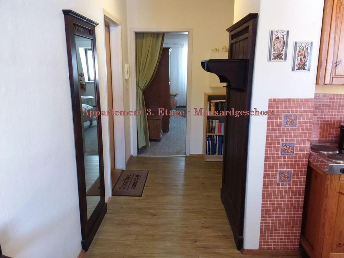City-Ferienwohnungen-Dresden - Zentral Gelegen Im Haus Louisenstrasse 11 - Dresden-Neustadt Εξωτερικό φωτογραφία