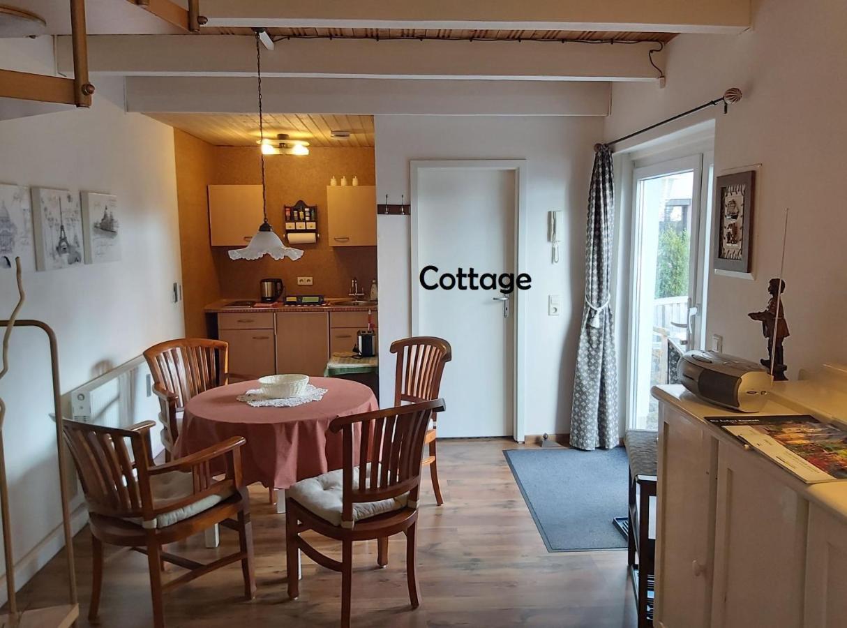 City-Ferienwohnungen-Dresden - Zentral Gelegen Im Haus Louisenstrasse 11 - Dresden-Neustadt Εξωτερικό φωτογραφία